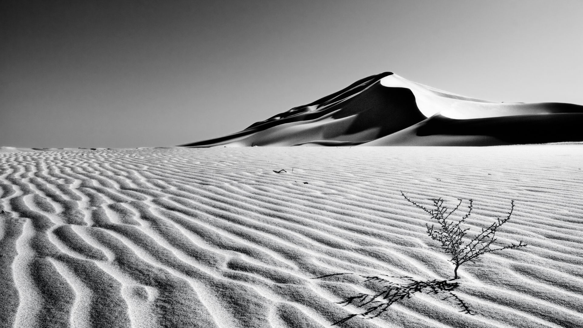 The Illnesses of Self-Admiration and Pride